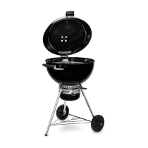 Barbecue a carbone Weber Master Touch GBS Premium E-5770 black 17301004