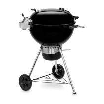 Barbecue a carbone Weber Master Touch GBS Premium E-5770 black 17301004
