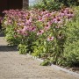 Bordura giardino recinto resistente Ecolat Enroulee 14 cm x 7 mm x 10 m