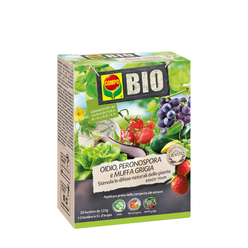 Insetticida per piante Compo bio romeo contro oidio e muffa grigia 25 ml