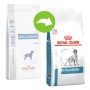 Crocchette per cani Royal Canin Veterinary Diet hypoallergenic small 1 Kg