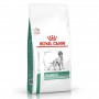 Crocchette per cani Royal canin diabetic 12 Kg