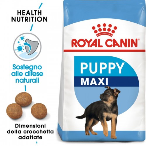 Crocchette per cani Royal Canin maxi puppy 4 Kg