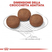 Crocchette per cani Royal Canin medium puppy 1 Kg Crocchette per cani Royal Canin medium puppy 1 Kg