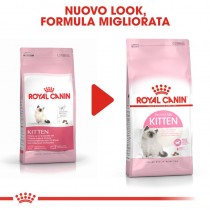 Crocchette per cani Royal Canin kitten feline gattini 400 g