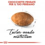 Crocchette per gatti Royal Canin persian adult 400 g