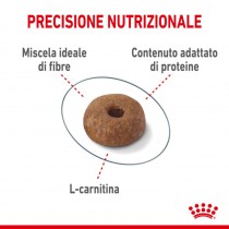 Crocchette per gatti Royal Canin light weight care 38 400 g Crocchette per gatti Royal Canin light weight care 38 400 g