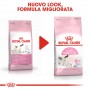 Crocchette per gatti Royal Canin feline mother and babycat gattini 2 Kg
