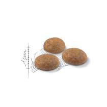 Crocchette per cani Royal Canin feline outdoor 400 g Crocchette per cani Royal Canin feline outdoor 400 g