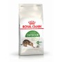 Crocchette per cani Royal Canin feline outdoor 400 g
