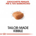Crocchette per cani Royal Canin barboncino poodle adult 500 g