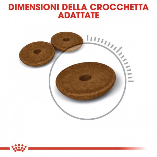 Crocchette per cani Royal Canin feline digestive 2 Kg