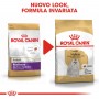 Crocchette per cani Royal Canin maltese adult 1,5 Kg Crocchette per cani Royal Canin maltese adult 1,5 Kg