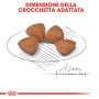 Crocchette per cani Royal Canin x small puppy 1,5 Kg