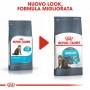 Crocchette per gatti Royal Canin urinary care 2 Kg