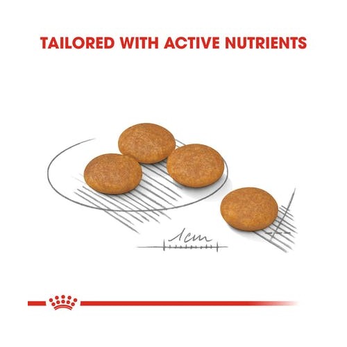 Crocchette per cani Royal Canin mini dermacomfort 1 Kg