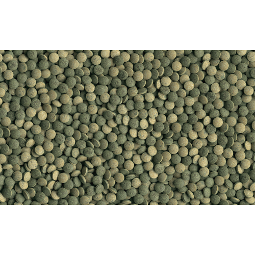 Mangime per pesci da fondo erbivori Tetra Pleco Tablets 120 compresse