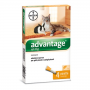 BAYER Advantage 40 Spot-on Gatti e conigli di peso inferiore a 4 kg