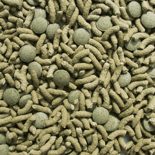 Mangime per rettili erbivori SERA Raffy Vital 250 ml