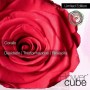 Rosa vera stabilizzata FlowerCube cubo 10x10 cm