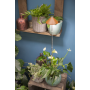 Venso ecosolutions lampada led sunlite per piante da interno indoor