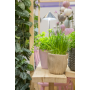 Venso ecosolutions lampada led sunlite per piante da interno indoor