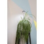 Venso ecosolutions lampada led sunlite per piante da interno indoor