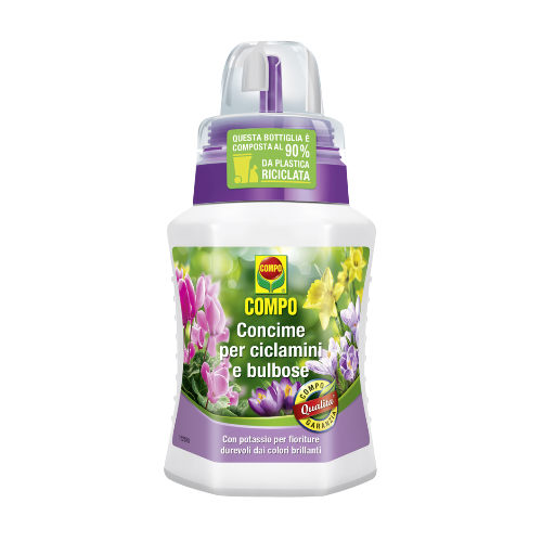 Concime liquido Compo per ciclamini e bulbose 250 ml