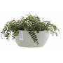 Vaso in plastica riciclata Ecopots Sofia