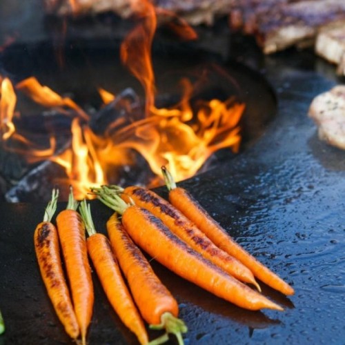 Barbecue da esterno Arteflame Euro 40 Ezooza