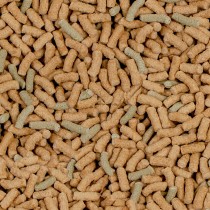 SERA Reptil Raffy P 250ml cibo per rettili SERA Reptil Raffy P 250ml cibo per rettili