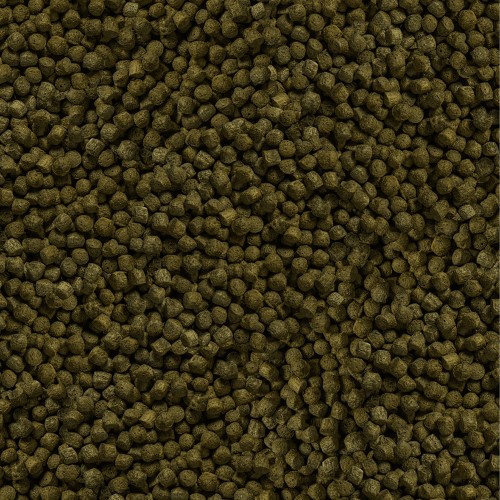 Mangime in granuli per carpe Koi SERA Koi Color Medium 1 L