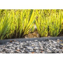 Bordura per giardino Ecola dritta 1,2 m x 14 x 1 cm Bordura per giardino Ecola dritta 1,2 m x 14 x 1 cm