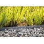 Bordura per giardino Ecola dritta 1,2 m x 14 x 1 cm
