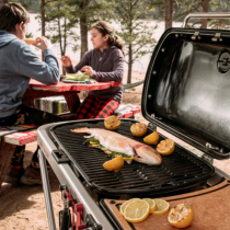 Barbecue a gas portatile Weber Traveler 9010053 Barbecue a gas portatile Weber Traveler 9010053