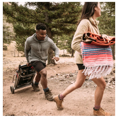 Barbecue a gas portatile Weber Traveler 9010053