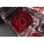 Rosa stabilizzata FlowerCube cubo 10x10 cm