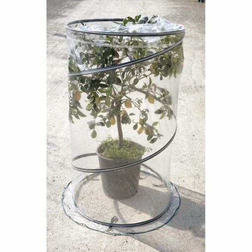 Serra per piante Verdemax pop-up citrus