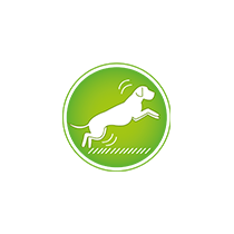 Crocchette per cani Trainer sensitive no grain adult medium maxi maiale 12 Kg Crocchette per cani Trainer sensitive no grain adult medium maxi maiale 12 Kg