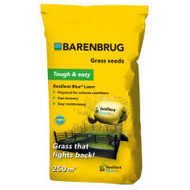 Semi per prato Barenbrug Resilient blue Lawn 5 Kg Semi per prato Barenbrug Resilient blue Lawn 5 Kg