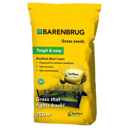 Semi per prato Barenbrug Resilient blue Lawn 5 Kg