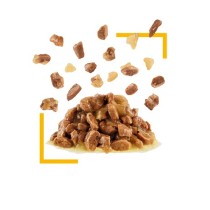 Cibo umido per gatti Royal Canin Sensory Taste bocconcini in gelatina 85 g .