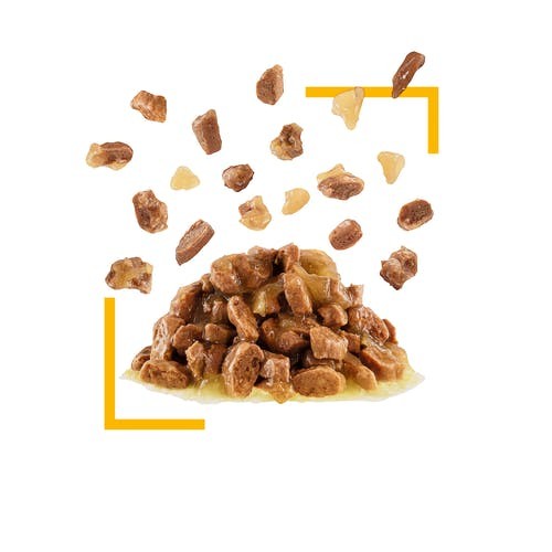 Cibo umido per gatti Royal Canin Sensory Taste bocconcini in gelatina 85 g confezione 12 pz.