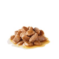 Cibo umido per cani Royal Canin Mini Ageing 12+ 85g Confezione 12 pz. Cibo umido per cani Royal Canin Mini Ageing 12+ 85g Confezione 12 pz.