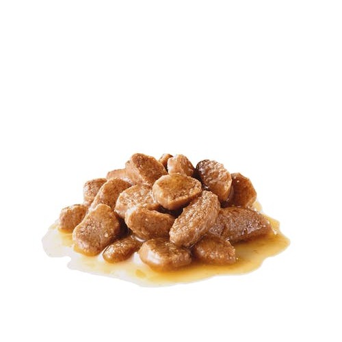 Cibo umido per cani Royal Canin Mini Ageing 12+ 85g Confezione 12 pz.