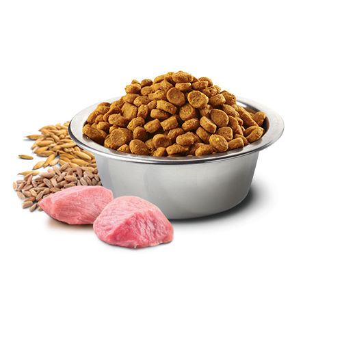 Crocchette per cani Farmina N&D ancestral grain pollo, avena, farro e melograno 12 Kg + 3 Kg