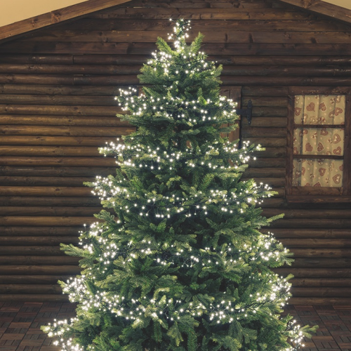 Luci di Natale Lotti Festone Cluster 1100 MiniLED