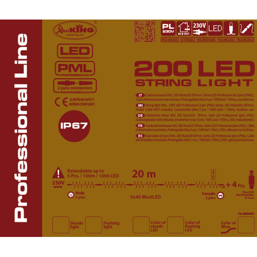 Luci di Natale Lotti 200 MaxiLED Flash