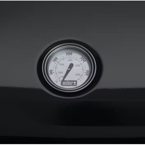 Barbecue elettrico Weber Lumin