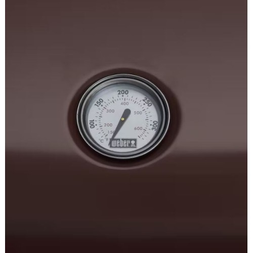 Barbecue elettrico Weber Lumin